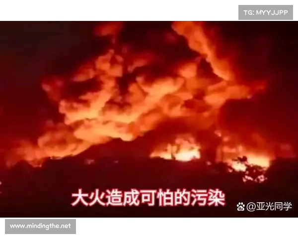 乌官员称俄罗斯关键炼油厂发生火灾 引发燃料供应危机风险 乌官员称俄罗斯关键炼油厂发生火灾 引发燃料供应危机风险